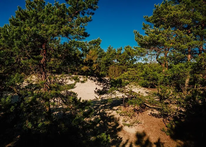 Апартаменты Mgm *